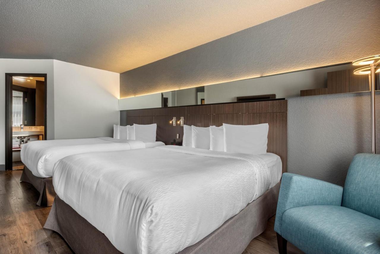 Chambre 2 Lits Queen-Size - Non-Fumeurs