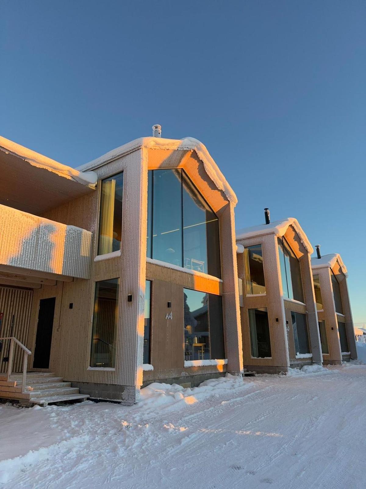 Arctic Studio