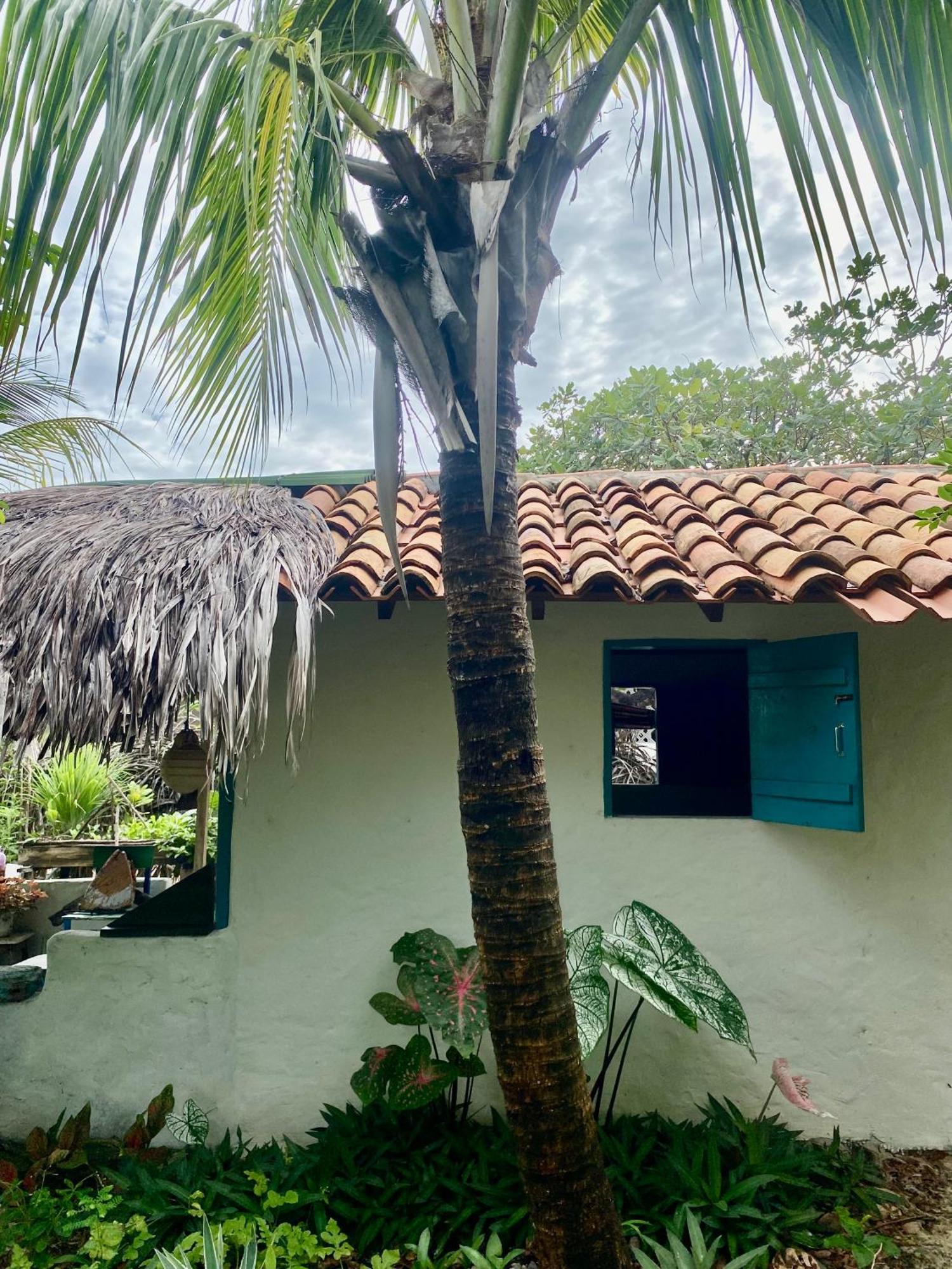 Twin Room Private External Bathroom