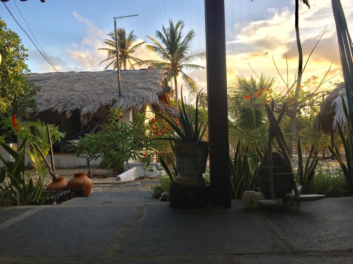 King Room Garden View