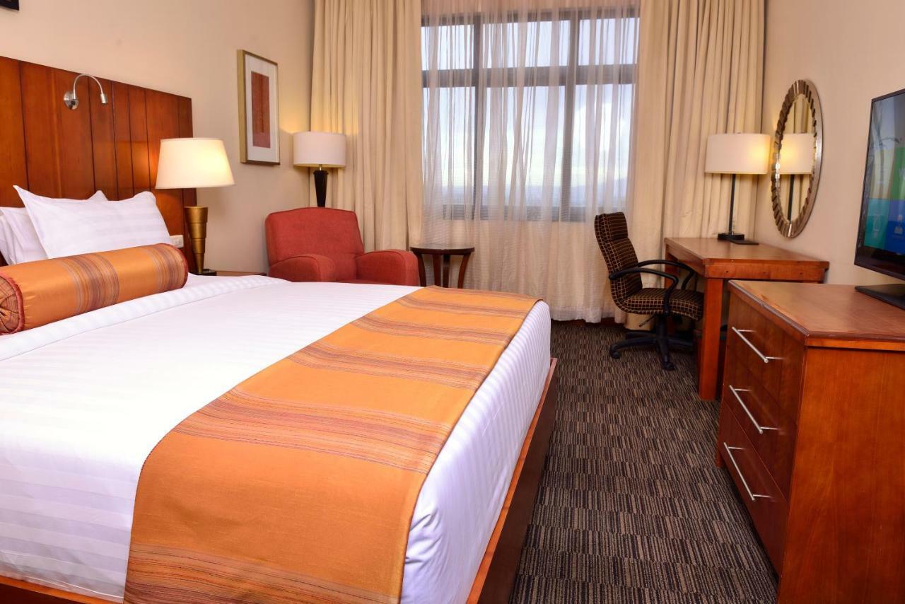 Queen Room,805621134:JPEG