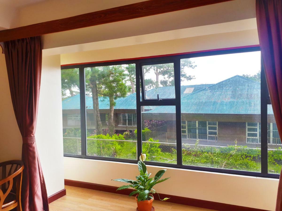 Triple Room View