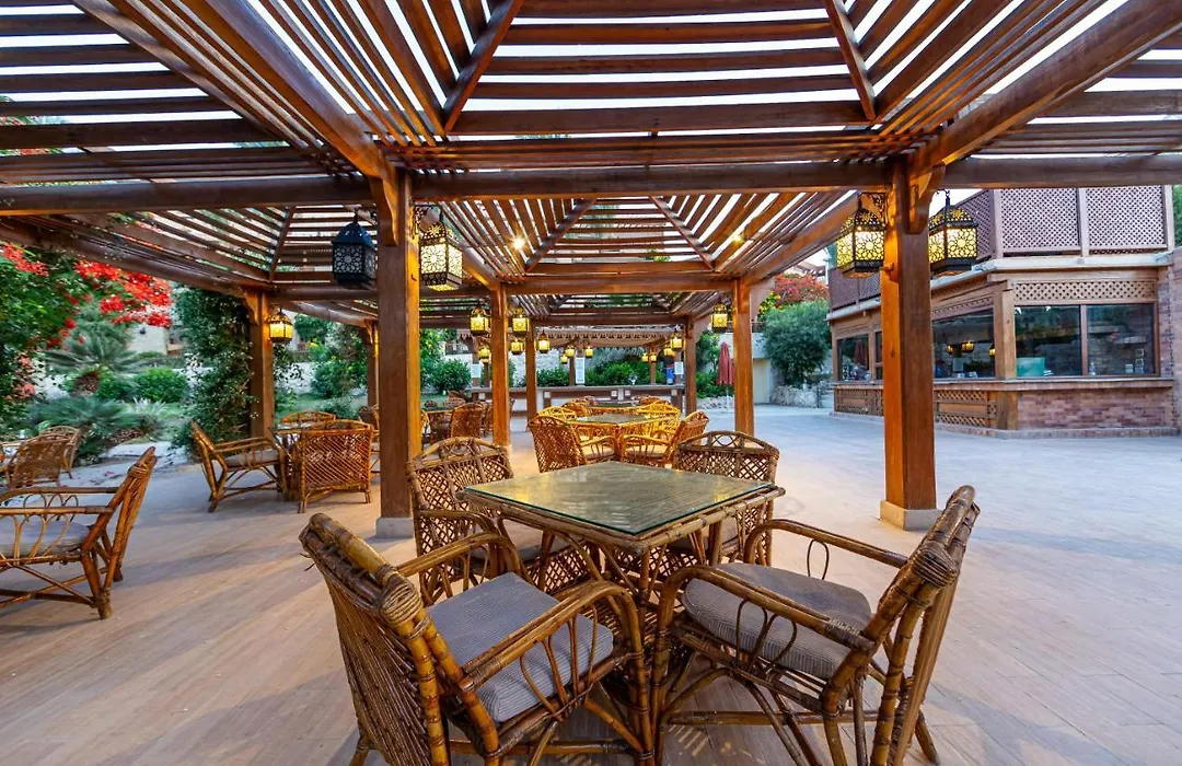Makadi Palace - Couples And Families Only-1