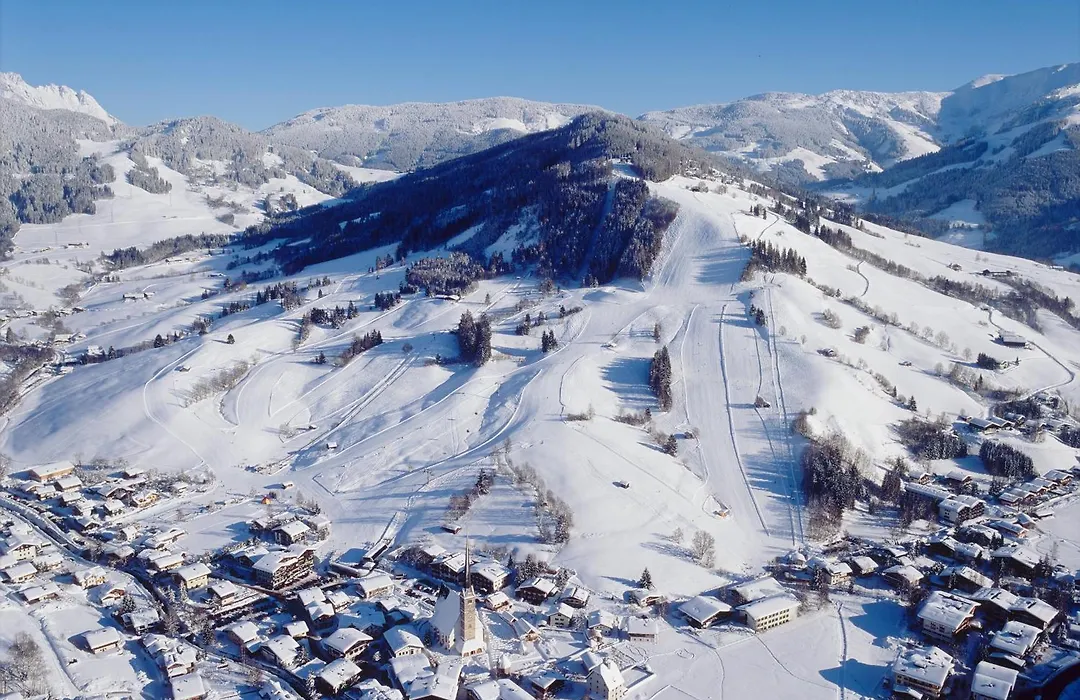 Chalet Panorama-1