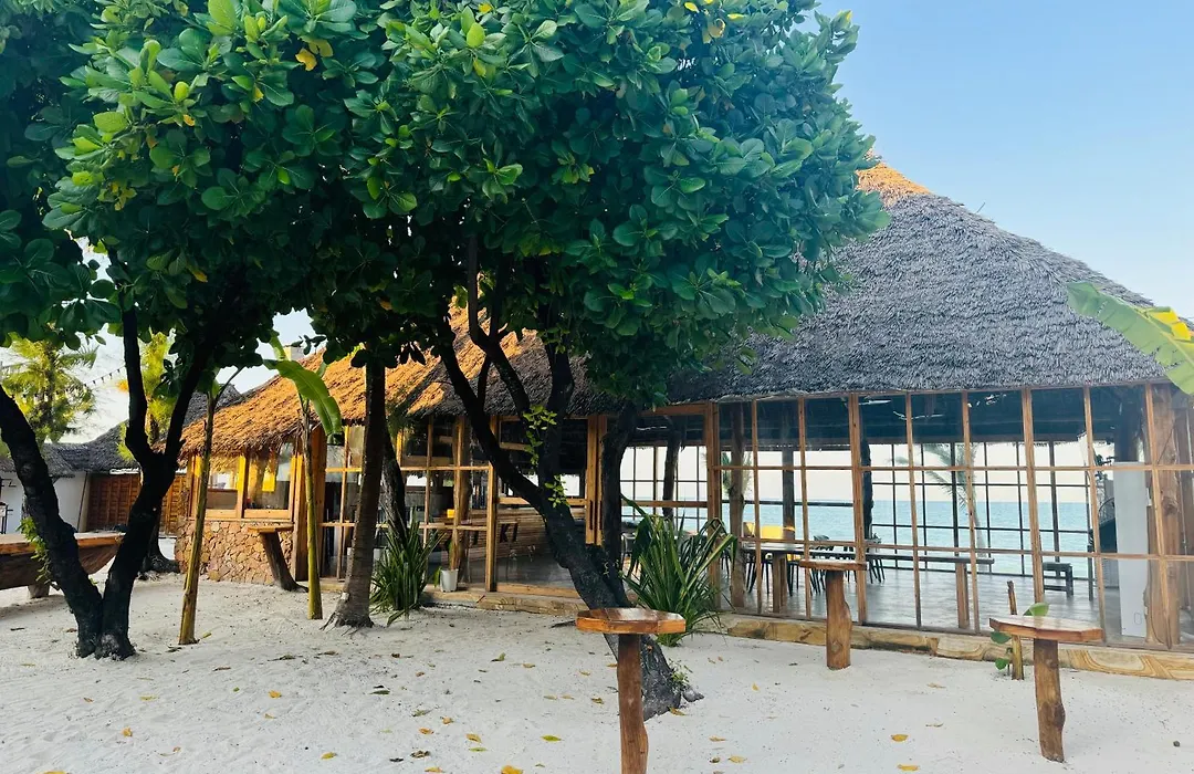 Tiki Beach Club & Resort (Adults Only)-1