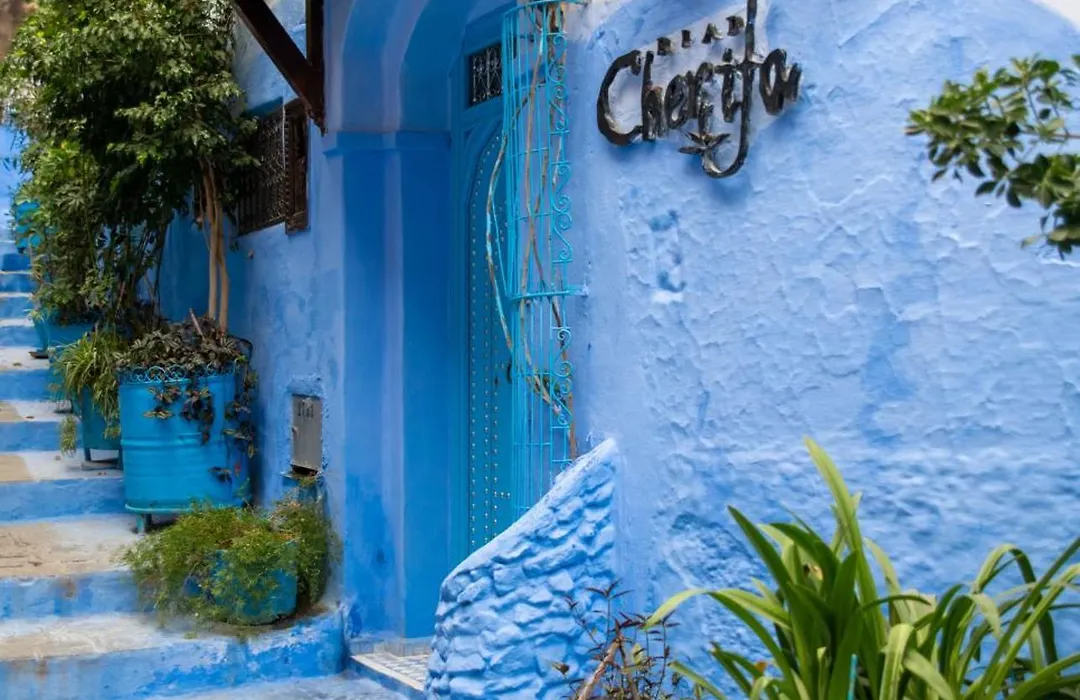 Riad Cherifa-1