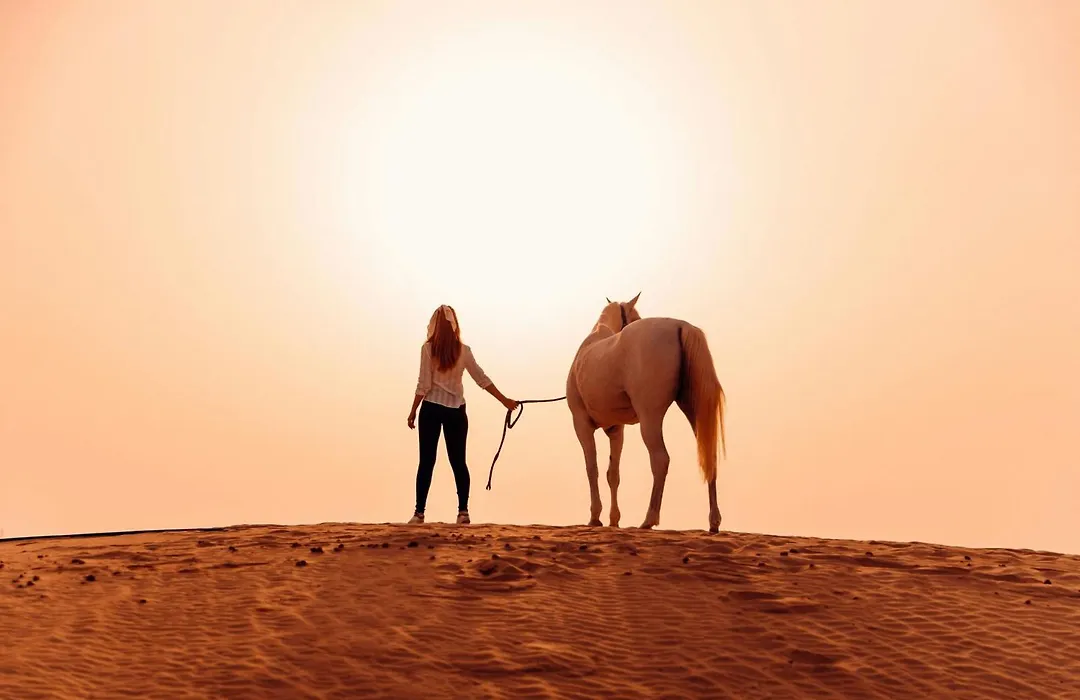 Al Wathba, A Luxury Collection Desert Resort & Spa, Abu Dhabi-1