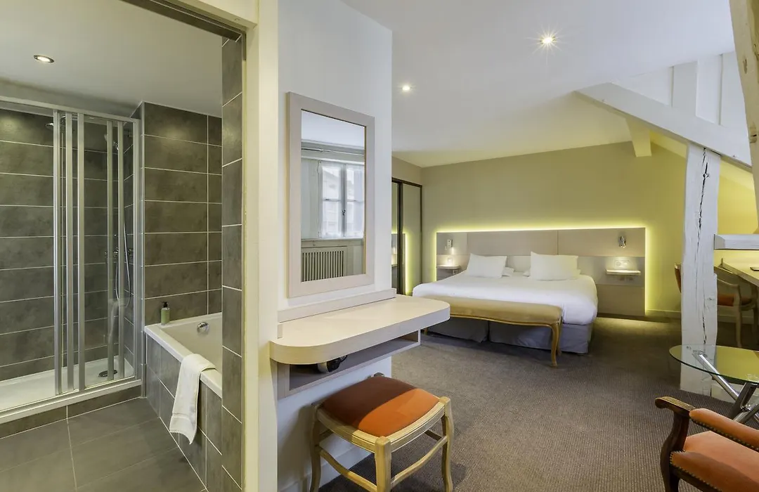Logis Hotel Restaurant Le Dauphin Et Le Spa Du Prieure-1