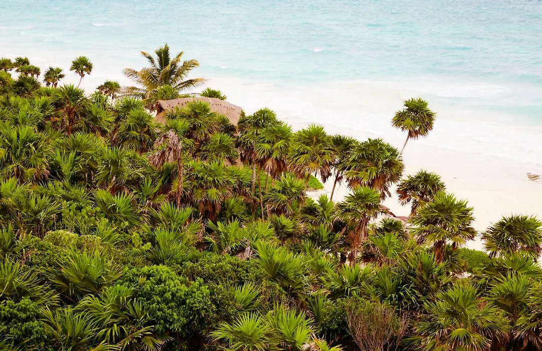 Papaya Playa Project, Tulum, A Member Of Design Hotels-1