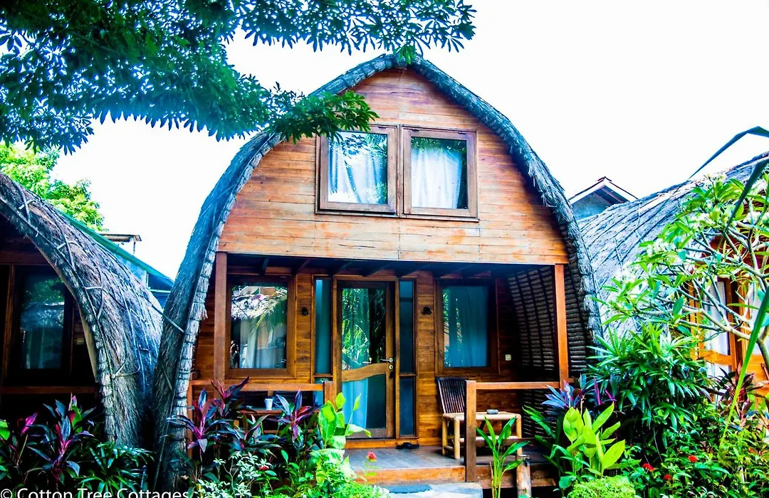 Cotton Tree Cottages-1