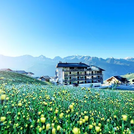 Alps Lodge-3