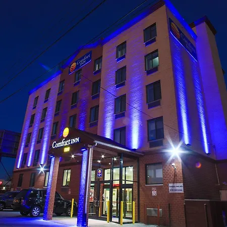 Comfort Inn Near Barclays Center - Crown Heights-2