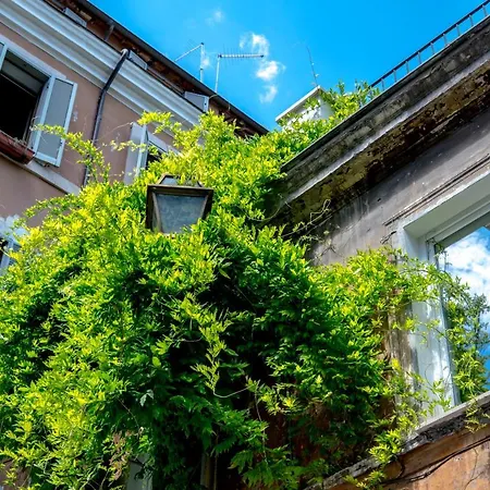 Navona Open Space Apartments-2