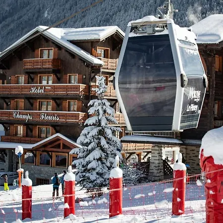 Hotel Champs Fleuris Morzine-2