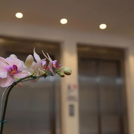 Grand Crucero Hotel-2