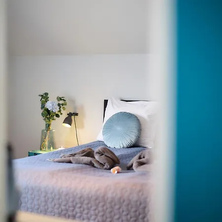 Villa Cecha B&B &Wellness-2
