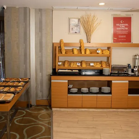 Anemon Grand Adana Otel-3