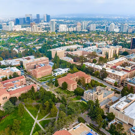 Kimpton Hotel Palomar Los Angeles Beverly Hills By Ihg-3