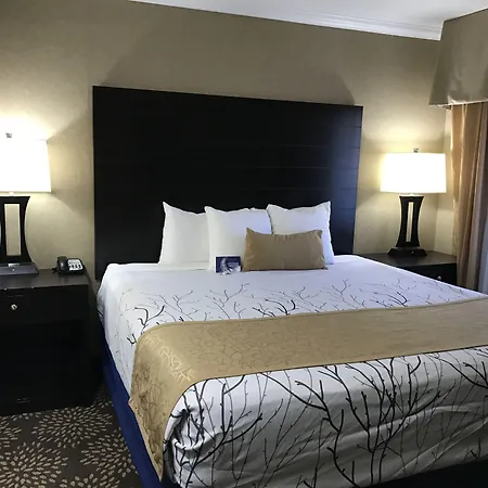Best Western Yuma Mall Hotel & Suites-2