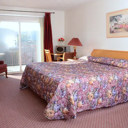 Country View Motor Inn-3