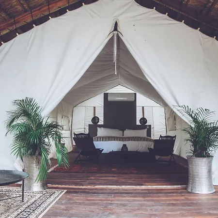 Our Habitas Tulum - Adults Only-2