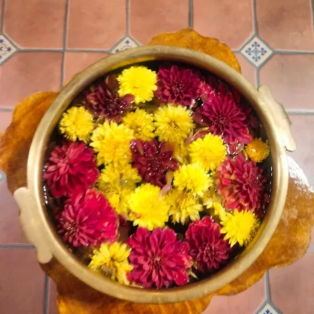 Little Peepal House-3