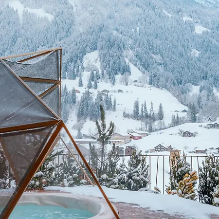 Boutique Hotel Glacier-2