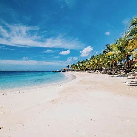 Harbour Village Beach Club-2