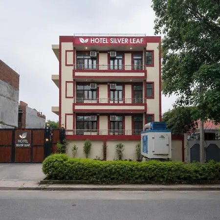 Hotel Silver Leaf, Noida-3