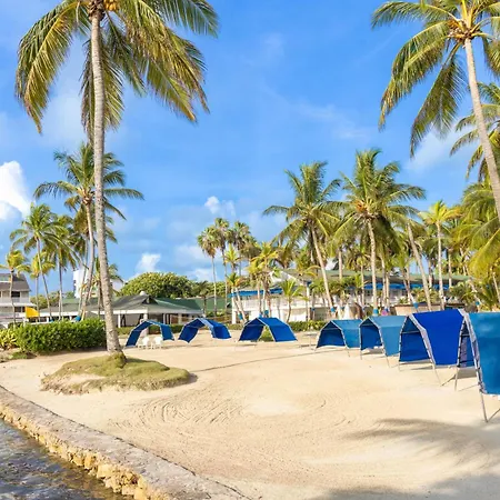 Decameron Marazul-3