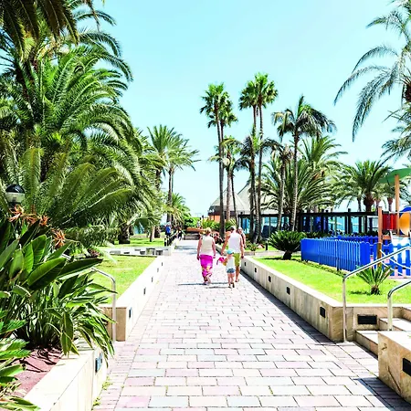 Grupotel Orquidea-3