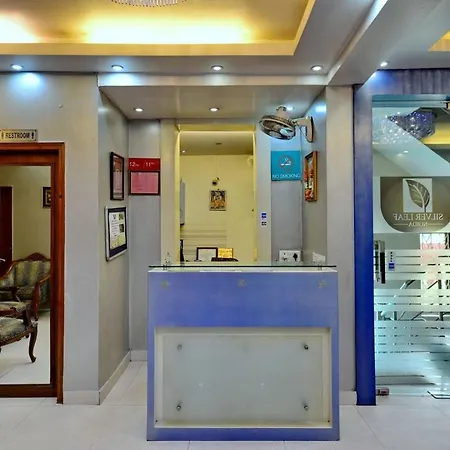 Hotel Silver Leaf, Noida-2