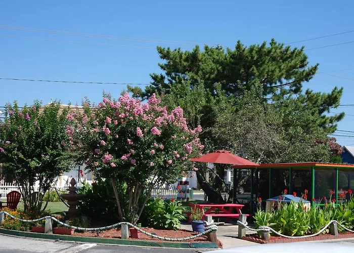 Motels Lighthouse Inn