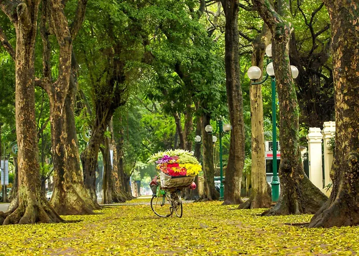 Hanoi Center Silk & Travel