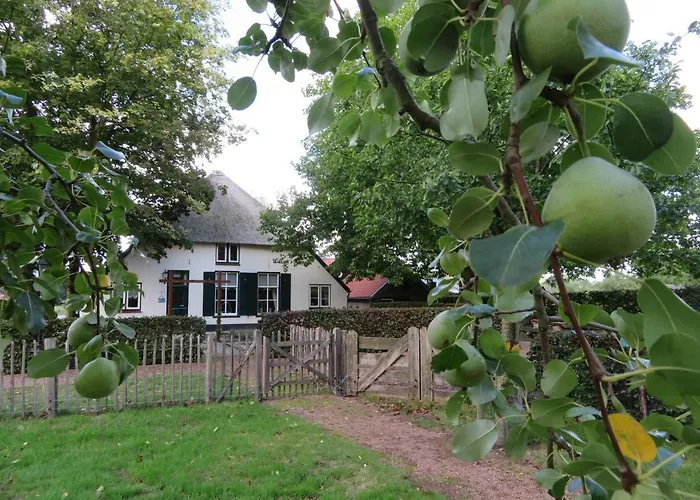 De Willemshoeve