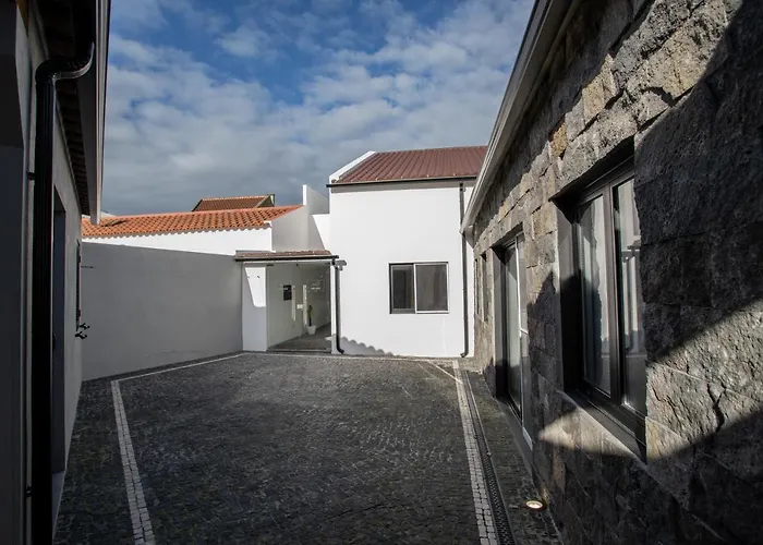 Carvão PDL