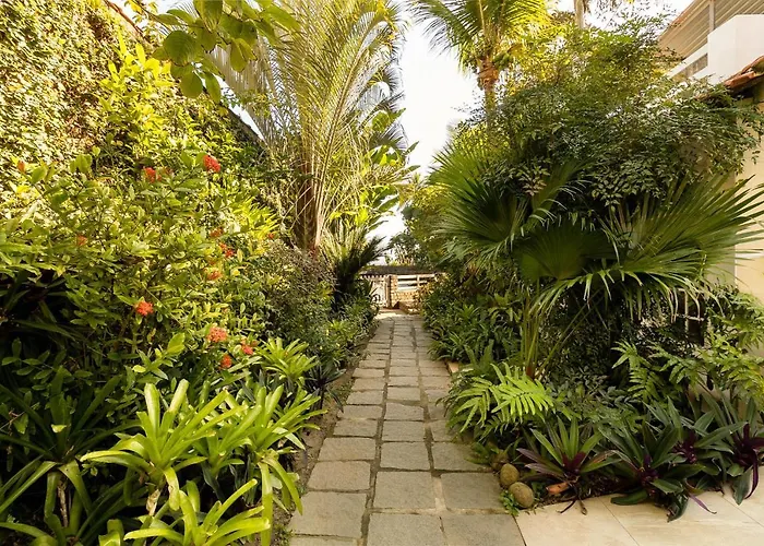 Rede Reserva Bromelias