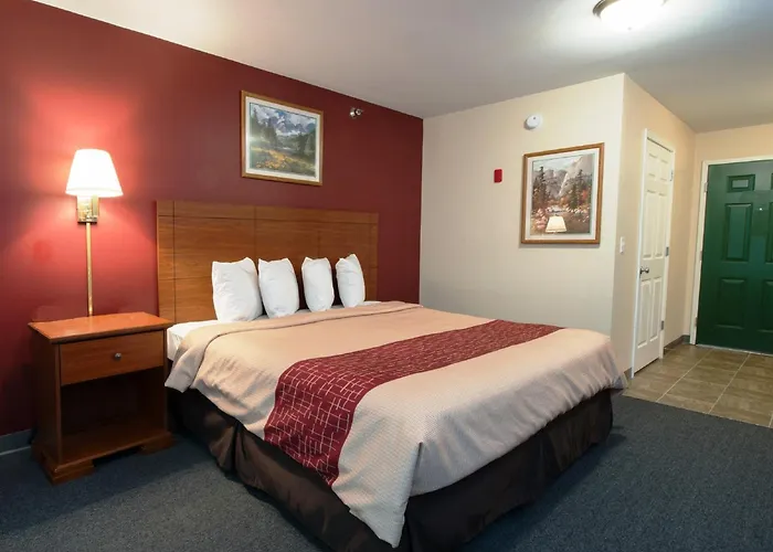 Motel: Red Roof Inn & Suites Dickinson