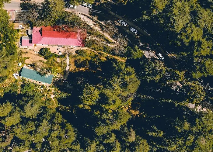 Hotels With Four Stars Seclude Shimla, Taraview
