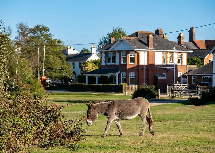 Surrey Lodge