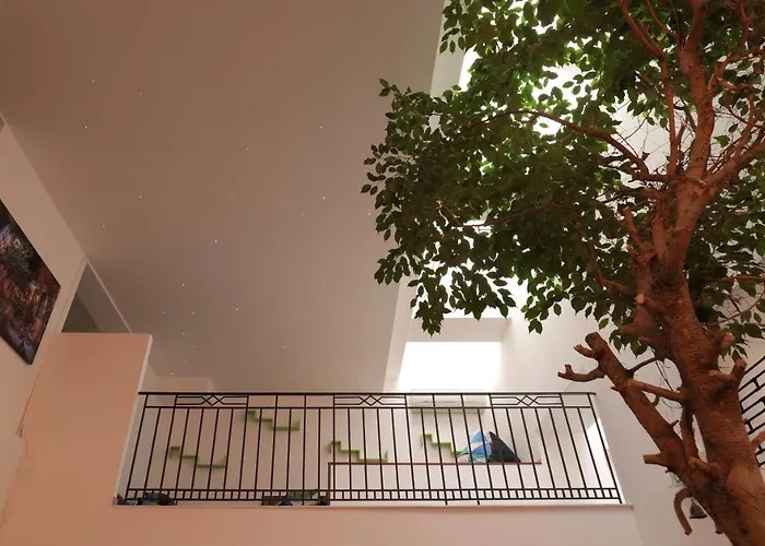 Hostel: Hostel Old Town