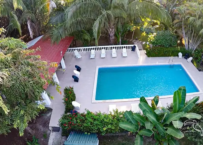 Pets Allowed Hotel Tropical Garden