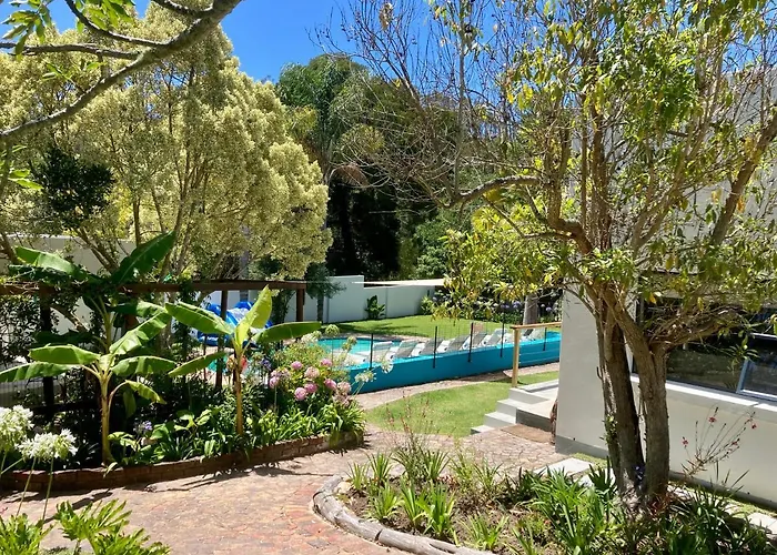 Tonquani - Knysna