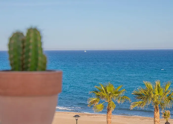 Guest house: La Esperanza Beach- Zona Pubs Y Restaurantes