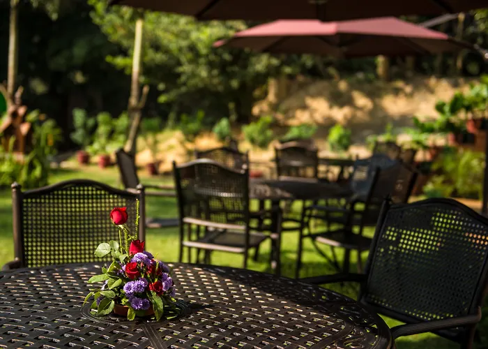 Rose Garden