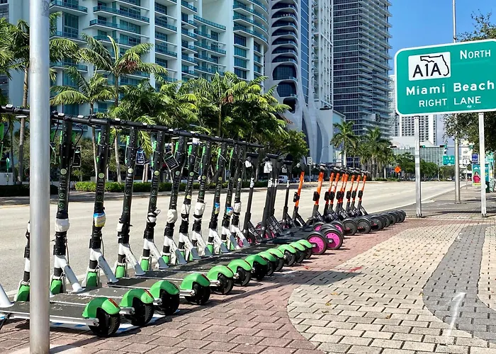 Hotel que admite mascotas: Hotel Indigo Miami Brickell By Ihg
