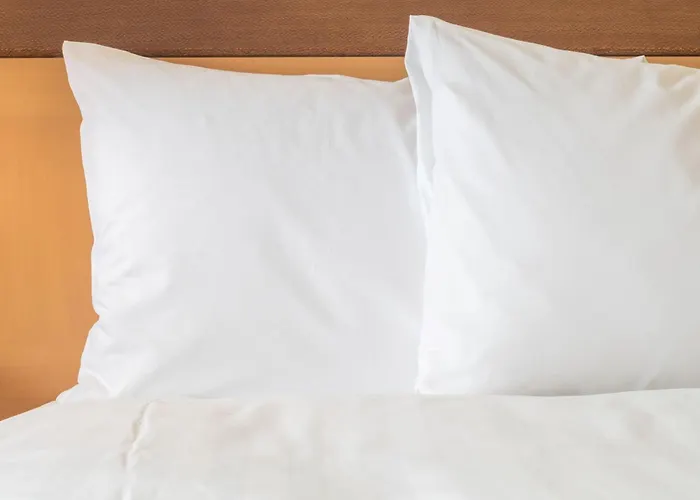 Animaux admis Holiday Inn Express Dubai Airport By Ihg
