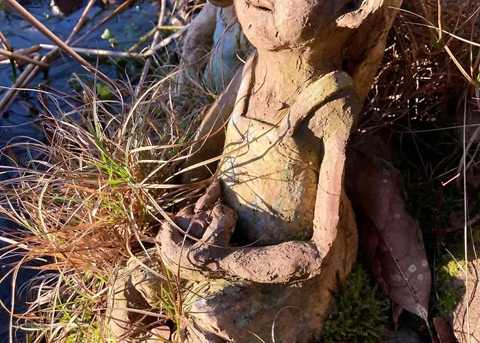 Hotel met zwembad: De Epicurist