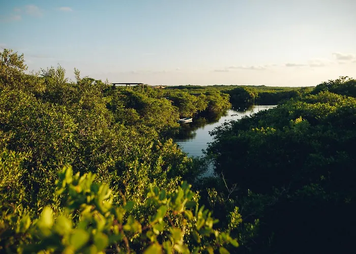 Hotel cerca del colegio: Uman Glamping & Cenote Tulum