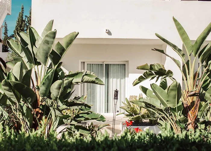 Hotel Boutique&Spa Las Mimosas Ibiza